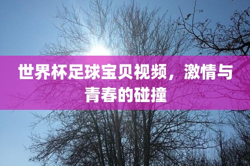 世界杯足球宝贝视频，激情与青春的碰撞