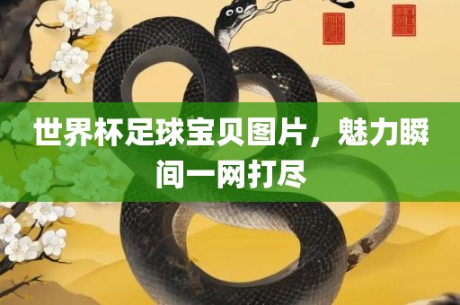 世界杯足球宝贝图片，魅力瞬间一网打尽