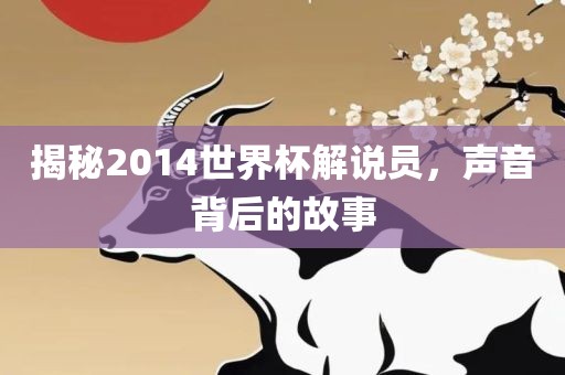 揭秘2014世界杯解说员，声音背后的故事