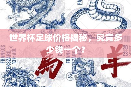 世界杯足球价格揭秘，究竟多少钱一个？