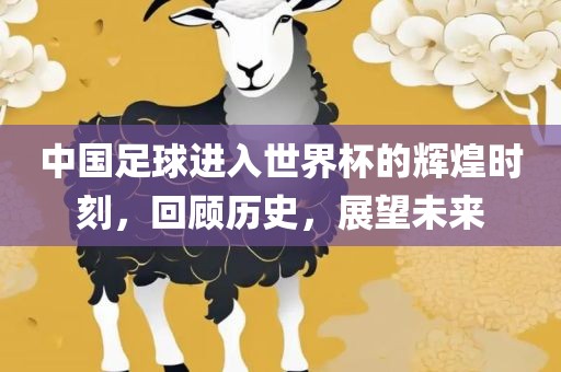 中国足球进入世界杯的辉煌时刻，回顾历史，展望未来