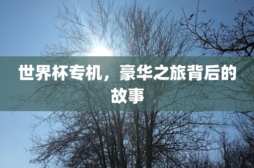 世界杯专机，豪华之旅背后的故事