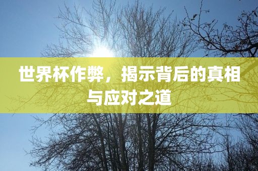 世界杯作弊，揭示背后的真相与应对之道