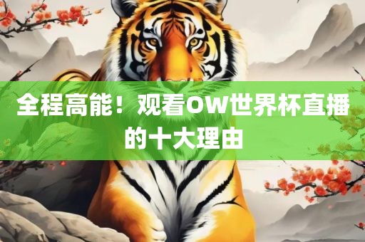 全程高能！观看OW世界杯直播的十大理由