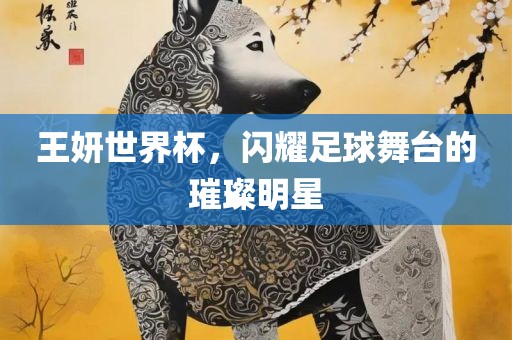 王妍世界杯，闪耀足球舞台的璀璨明星