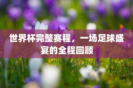 世界杯完整赛程，一场足球盛宴的全程回顾