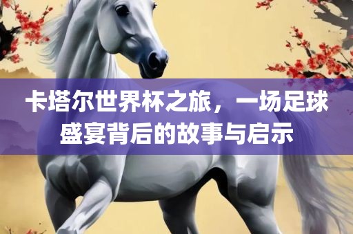 卡塔尔世界杯之旅，一场足球盛宴背后的故事与启示