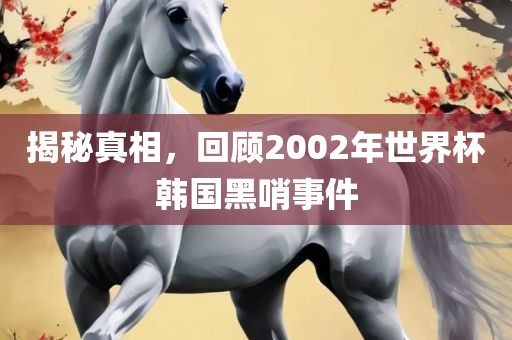 揭秘真相，回顾2002年世界杯韩国黑哨事件