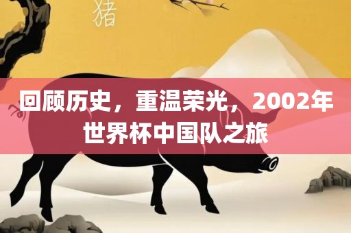 回顾历史，重温荣光，2002年世界杯中国队之旅