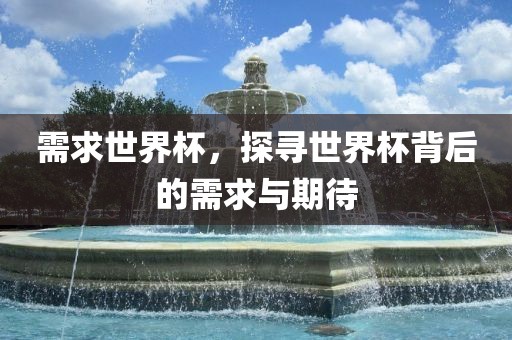 需求世界杯，探寻世界杯背后的需求与期待