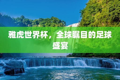 雅虎世界杯，全球瞩目的足球盛宴
