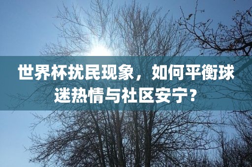世界杯扰民现象，如何平衡球迷热情与社区安宁？