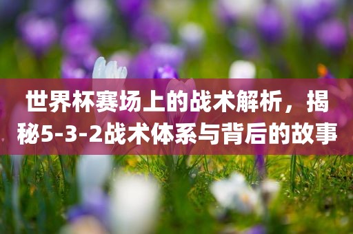 世界杯赛场上的战术解析，揭秘5-3-2战术体系与背后的故事