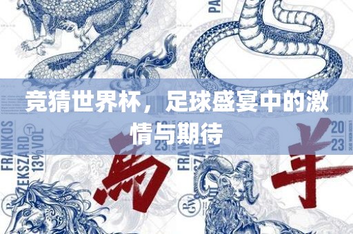 竞猜世界杯，足球盛宴中的激情与期待
