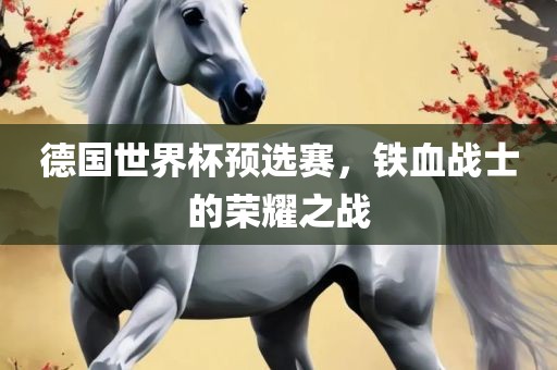 德国世界杯预选赛，铁血战士的荣耀之战