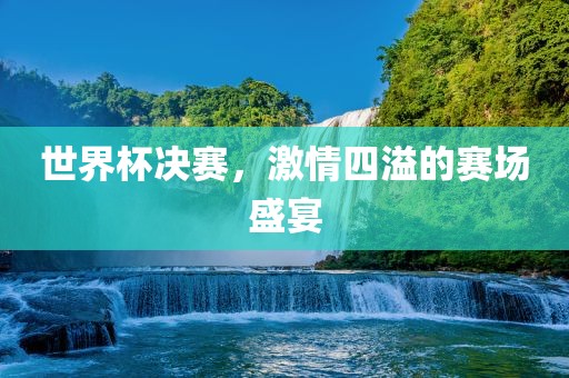 世界杯决赛，激情四溢的赛场盛宴