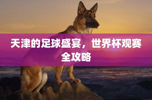 天津的足球盛宴，世界杯观赛全攻略