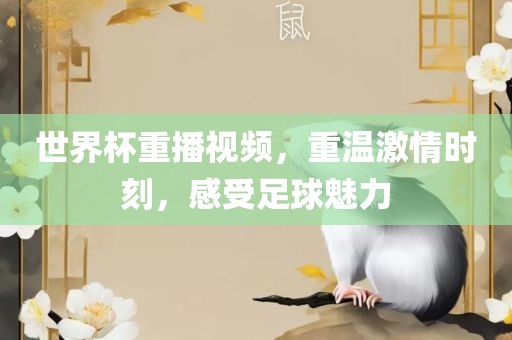 世界杯重播视频，重温激情时刻，感受足球魅力