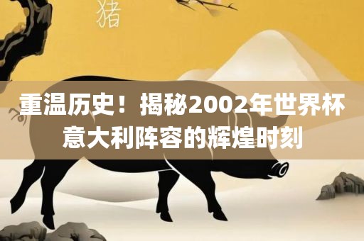 重温历史！揭秘2002年世界杯意大利阵容的辉煌时刻