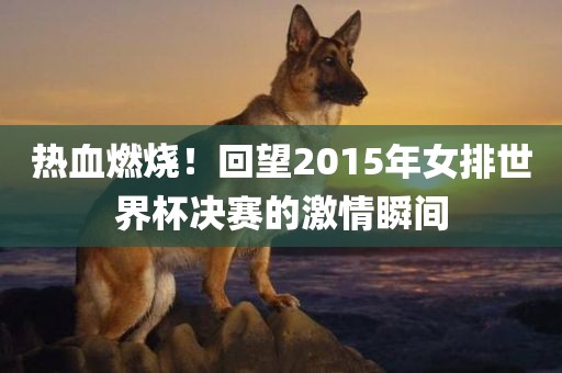 热血燃烧！回望2015年女排世界杯决赛的激情瞬间