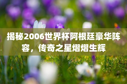 揭秘2006世界杯阿根廷豪华阵容，传奇之星熠熠生辉