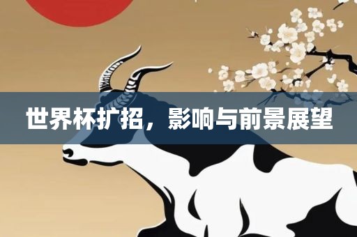 世界杯扩招，影响与前景展望