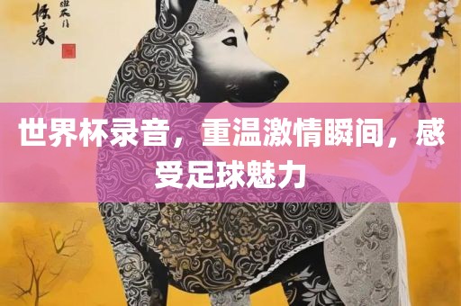 世界杯录音，重温激情瞬间，感受足球魅力