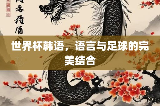 世界杯韩语，语言与足球的完美结合
