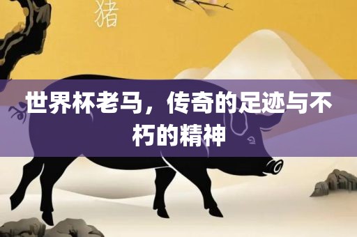 世界杯老马，传奇的足迹与不朽的精神