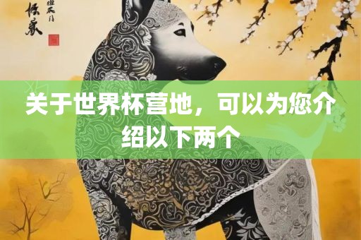 关于世界杯营地，可以为您介绍以下两个