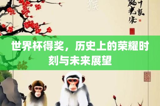 世界杯得奖，历史上的荣耀时刻与未来展望