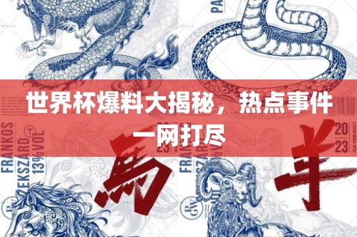 世界杯爆料大揭秘，热点事件一网打尽