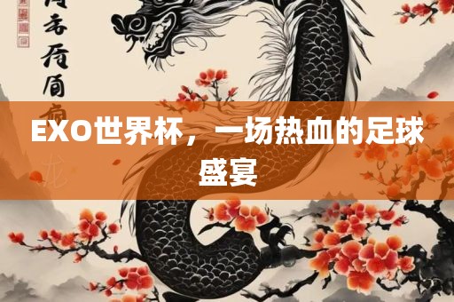 EXO世界杯，一场热血的足球盛宴