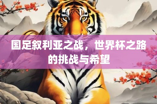 国足叙利亚之战，世界杯之路的挑战与希望