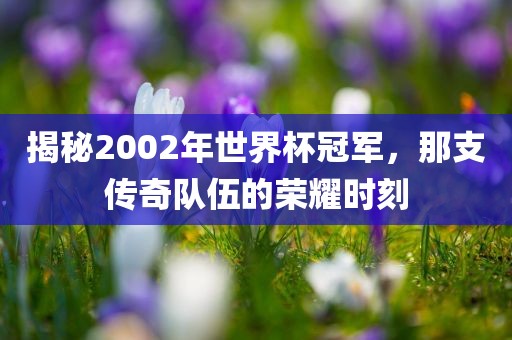 揭秘2002年世界杯冠军，那支传奇队伍的荣耀时刻