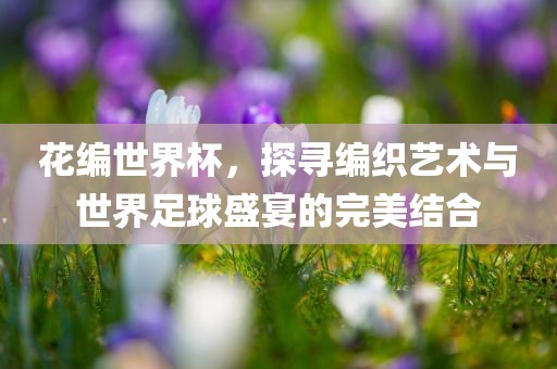 花编世界杯，探寻编织艺术与世界足球盛宴的完美结合