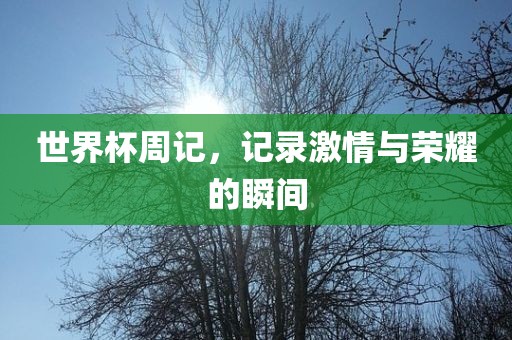 世界杯周记，记录激情与荣耀的瞬间