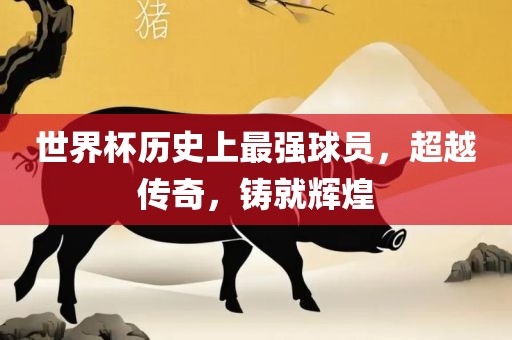 世界杯历史上最强球员，超越传奇，铸就辉煌