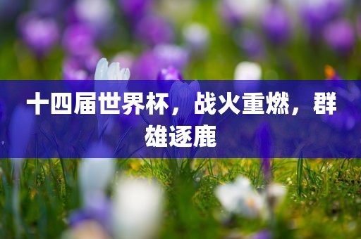 十四届世界杯，战火重燃，群雄逐鹿