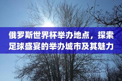 俄罗斯世界杯举办地点，探索足球盛宴的举办城市及其魅力