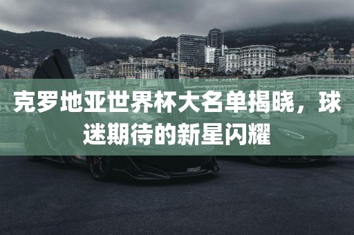 克罗地亚世界杯大名单揭晓，球迷期待的新星闪耀