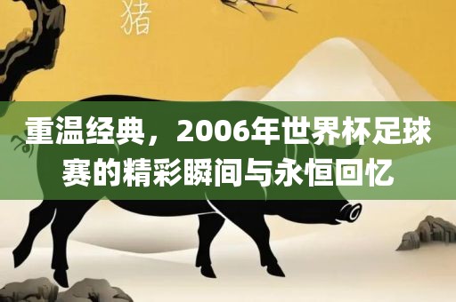 重温经典，2006年世界杯足球赛的精彩瞬间与永恒回忆