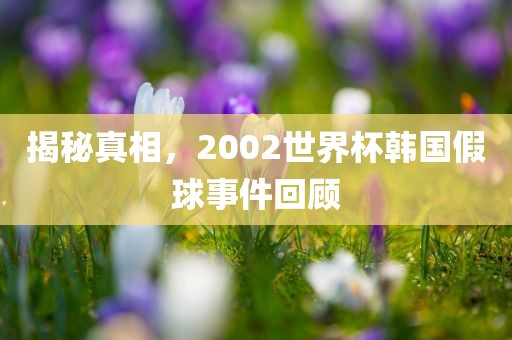 揭秘真相，2002世界杯韩国假球事件回顾