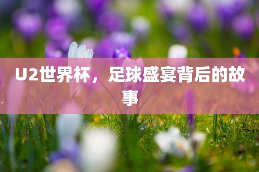 U2世界杯，足球盛宴背后的故事