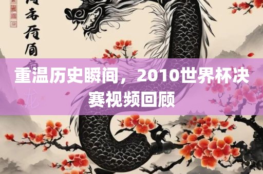 重温历史瞬间，2010世界杯决赛视频回顾