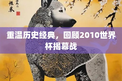 重温历史经典，回顾2010世界杯揭幕战
