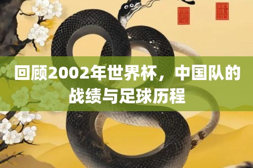 回顾2002年世界杯，中国队的战绩与足球历程