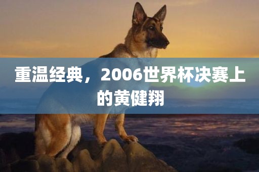 重温经典，2006世界杯决赛上的黄健翔