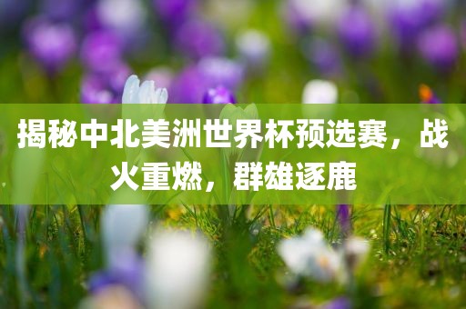 揭秘中北美洲世界杯预选赛，战火重燃，群雄逐鹿