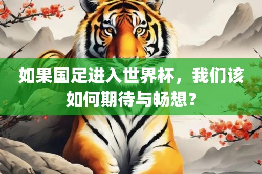 如果国足进入世界杯，我们该如何期待与畅想？
